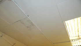 pioneer asbestos can help take down and safely dispose of ceiling tiles containing asbestos materials