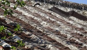 pioneer asbestos safely remove asbestos roofs