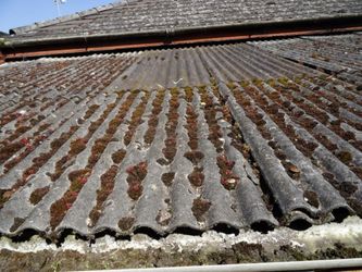 Peterborough Asbestos Removal remove asbestos roofs